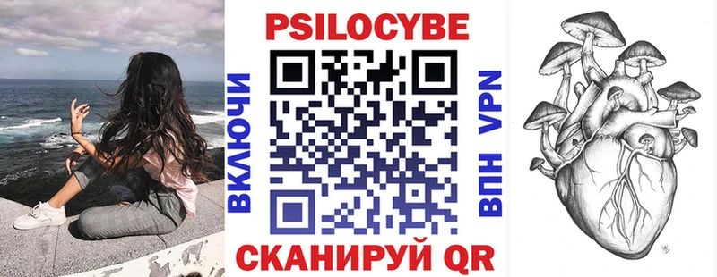 Псилоцибиновые грибы Cubensis  закладки  Севск 